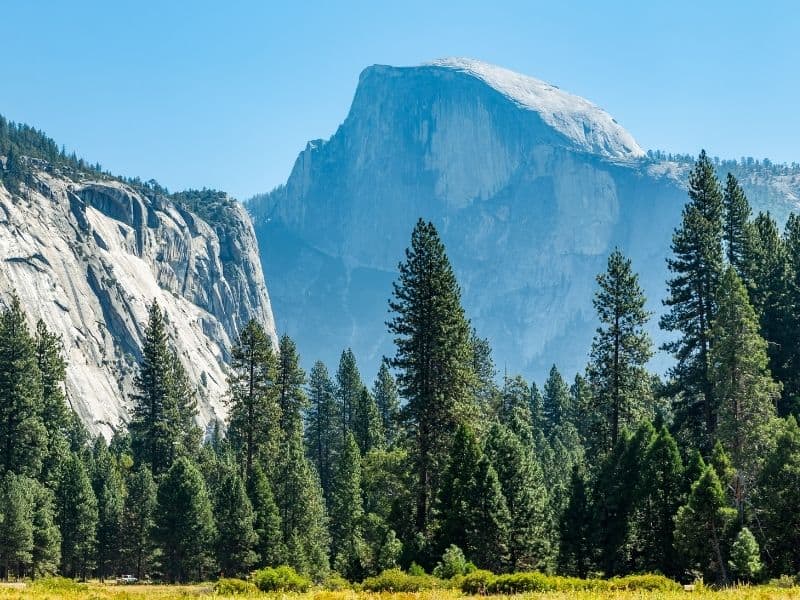 the towering granite formation of half dome, blue with shadow,  next to brilliant trees and grassy meadow