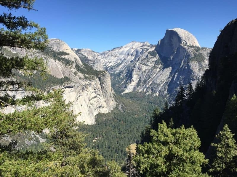 the famous view of yosemite valley as seen from above, with a view of all the trees in Yosemite valley below