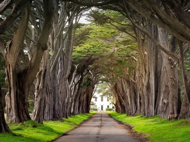 21 Delightful Small Towns in Northern California California Crossroads