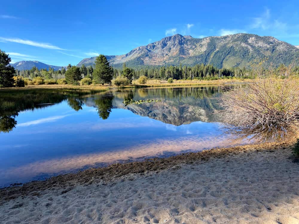 sandy lake tahoe beach near a meadow on this dog friendly lake tahoe beach surrounded by trees and calm water