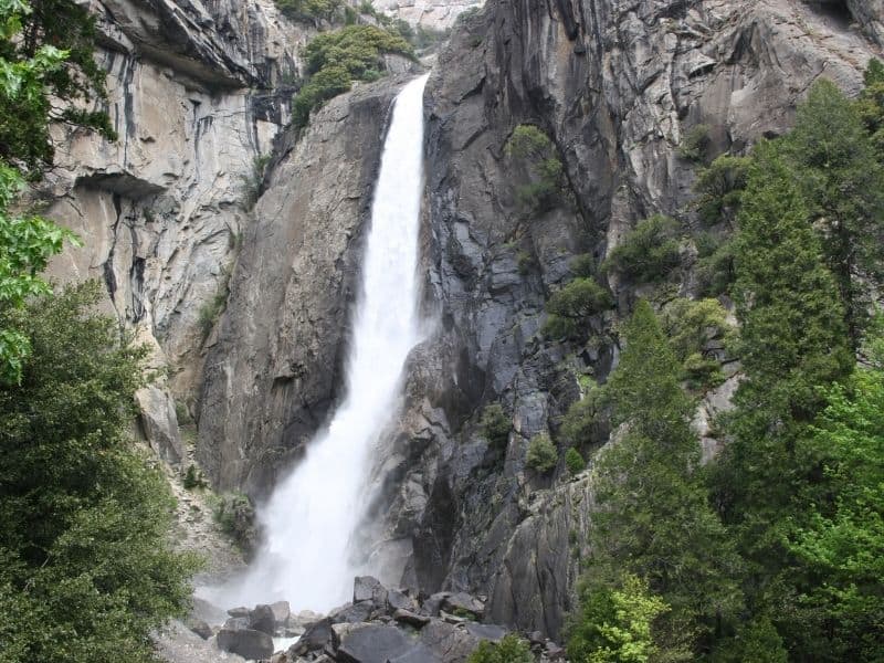 the bottom cascade of a three-tiered mega waterfall, yosemite falls in Yosemite valley. surrounded by green trees in spring or summer.