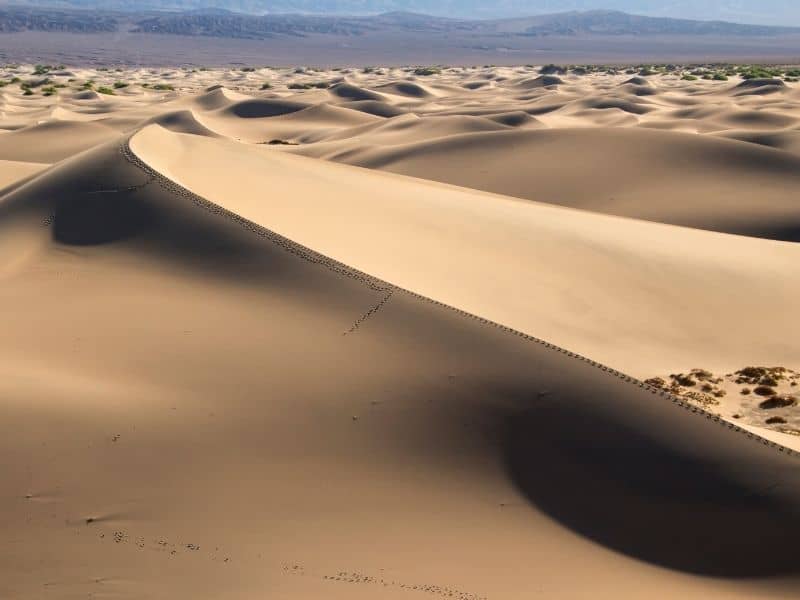 the white-gold sand dunes of mesquite flats in death valley in a day