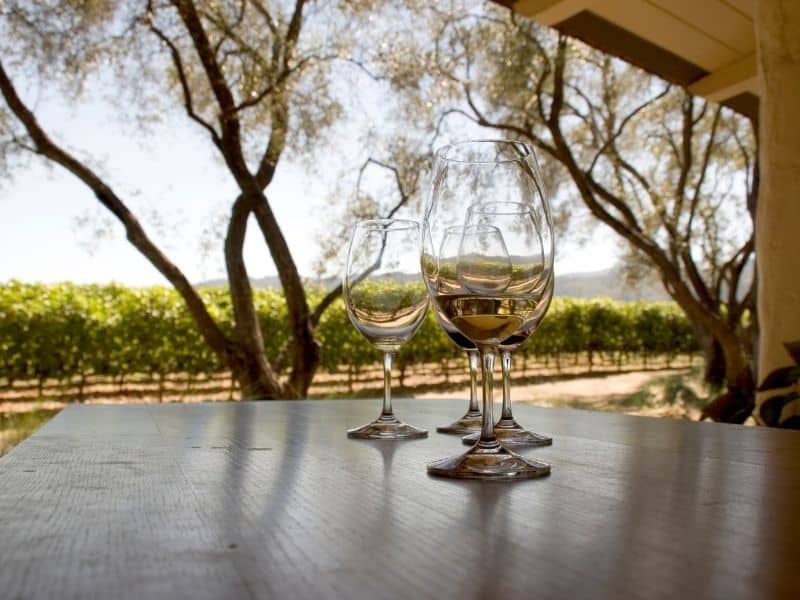 four glasses of white wine at a napa winery