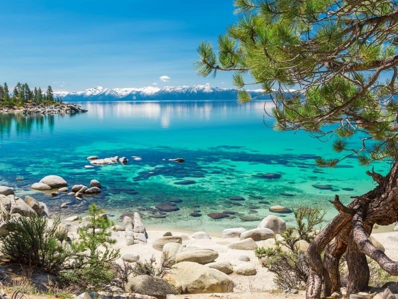 the brilliant blue waters of sand harbor in lake tahoe in the summer with rocks and trees