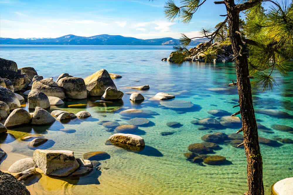 clear waters and rocks in the shoreline with a pine tree in front at lake tahoe beach view