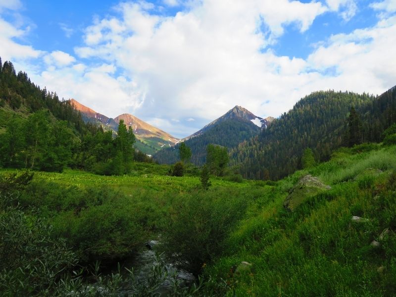 grassy landscape in the mineral king meadow, a popular hike in sequoia national park, on a sunny day with light clouds