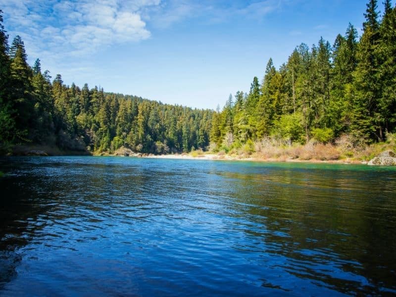 the beautiful blue waters of the smith river in jedidiah smith redwoods state park, a popular thing to do in crescent city is take a kayak out on the river!