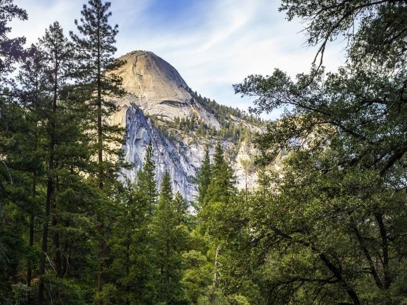 granite dome peeking above the top of green evergreen and deciduous trees