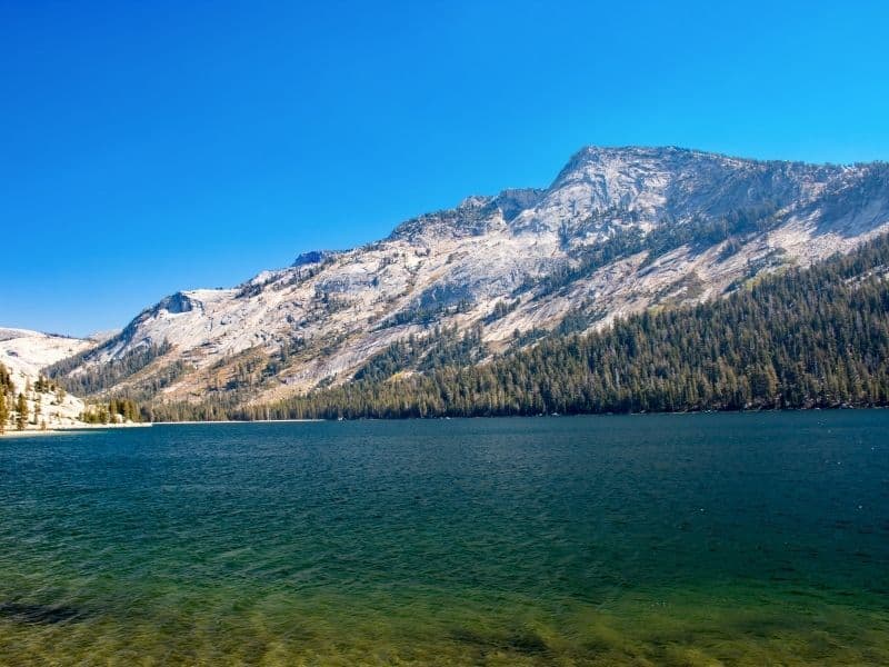 the beautiful turquoise waters of tenaya lake in yosemite