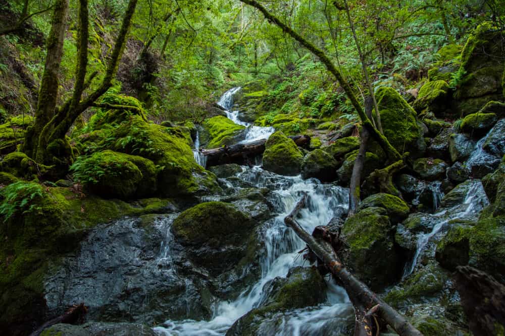 waterfall rushing down a hill with mossy rocks and green trees