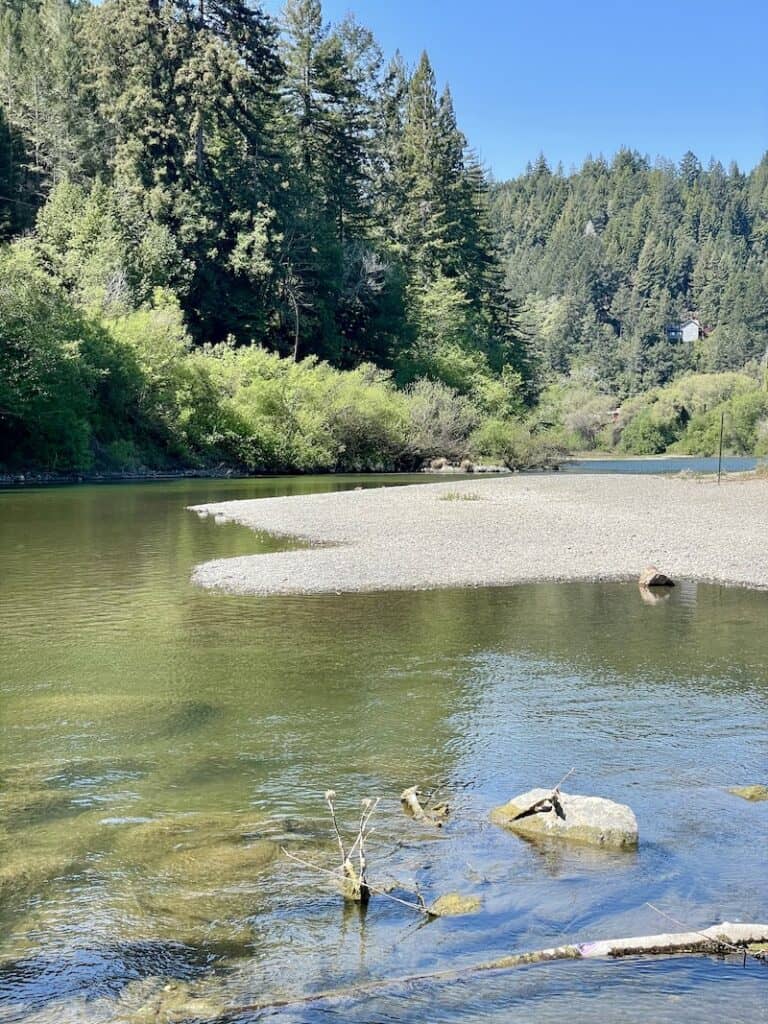 a view of the russian river and various pine trees and other trees around it