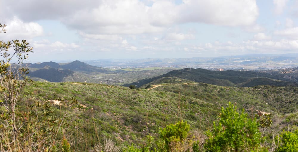 Reaching the peak of Aliso & Woods Canyon Wilderness trail in the spring after a rainy season, Laguna Beach, CA hiking trail