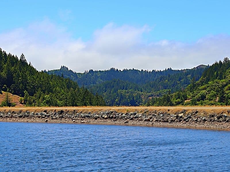 the reservoir at bon tempe lake with still water, rocks, trees on a sunny day hiking in marin county