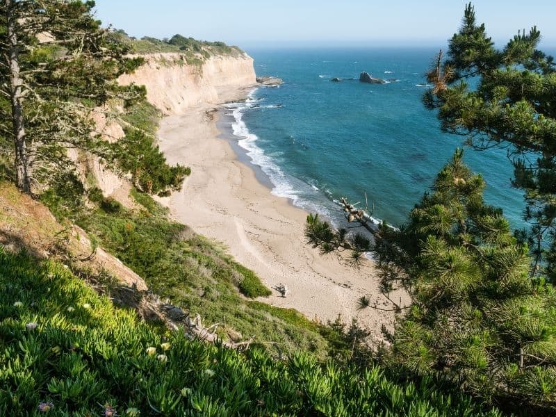 the sands on the beach of davenport california