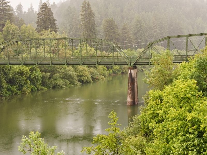 bridge going over the russian river with trees and fog