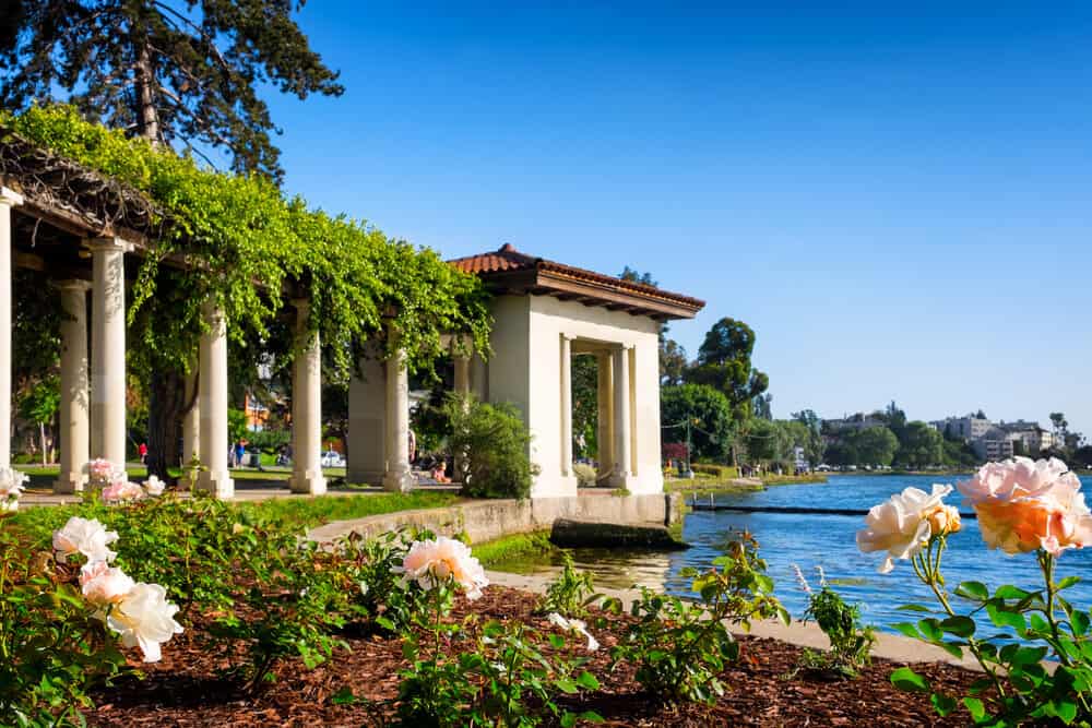 lake merritt in oakland with a view of trees and water and flowers