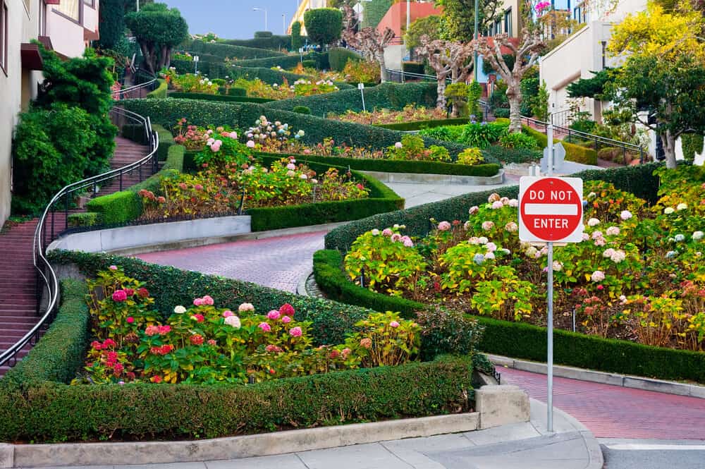 crooked street of lombard street