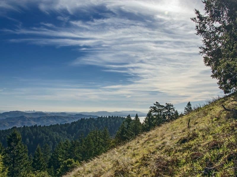 middle peak mt tam with browning grass and pine trees and water in the distance