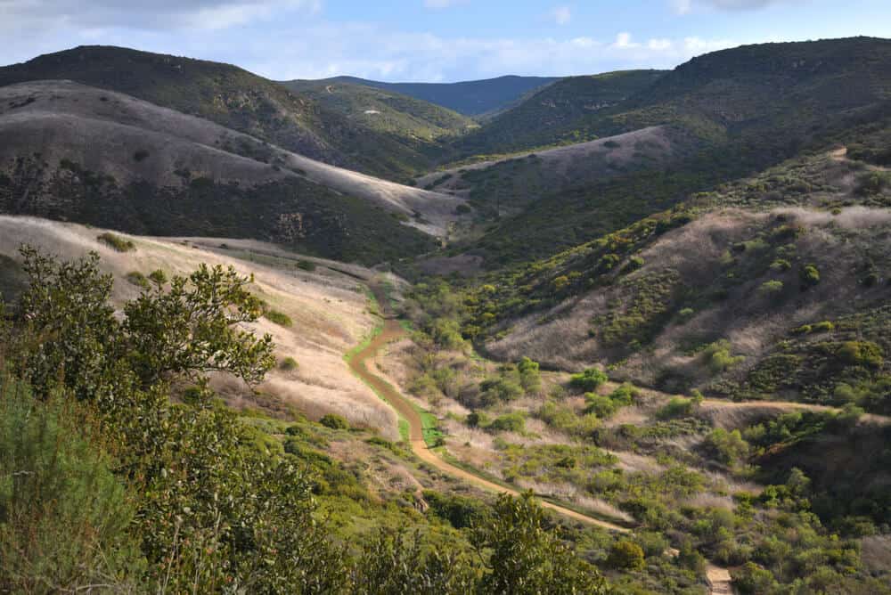 the backcountry trails of crystal cove state park hiking at moro canyon