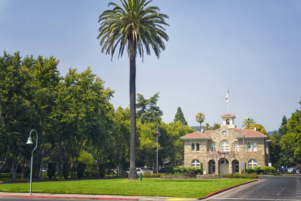 the city hall of sonoma framed by a very large palm tree in sonoma square