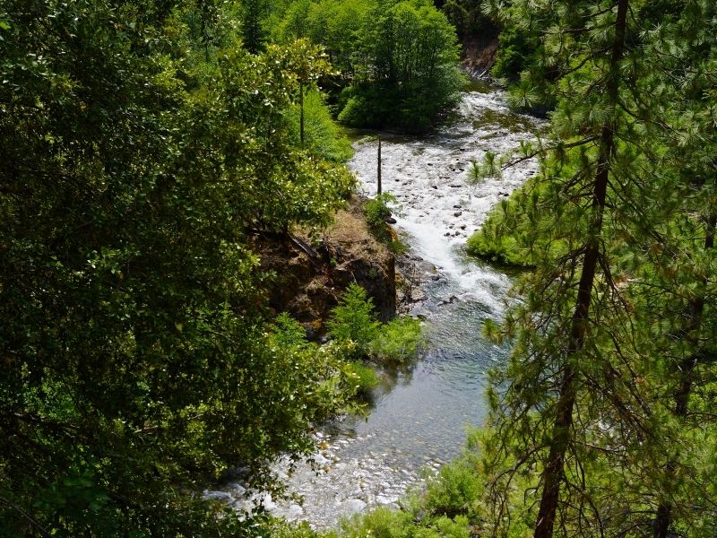 view of a stream seen between green trees