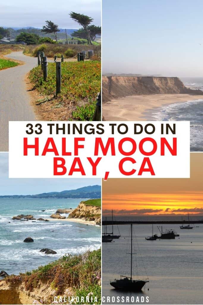 best dog friendly beach half moon bay