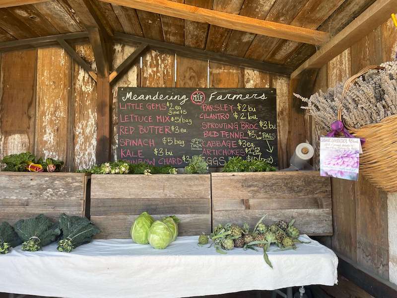 Farm stand at Tomales Bay California selling agricultural provisions