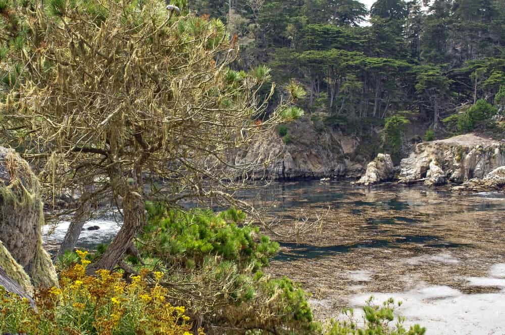 Monterey Bay frames Bluefish Cove at Point Lobos State Park near Carmel, Calfornia