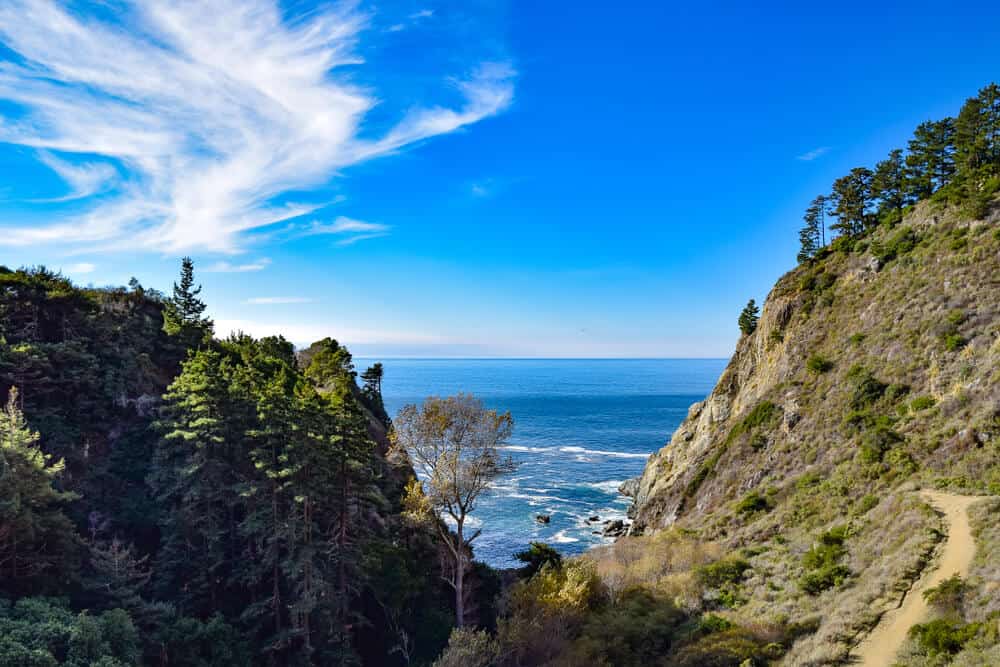 beautiful ocean path leading to partington cove