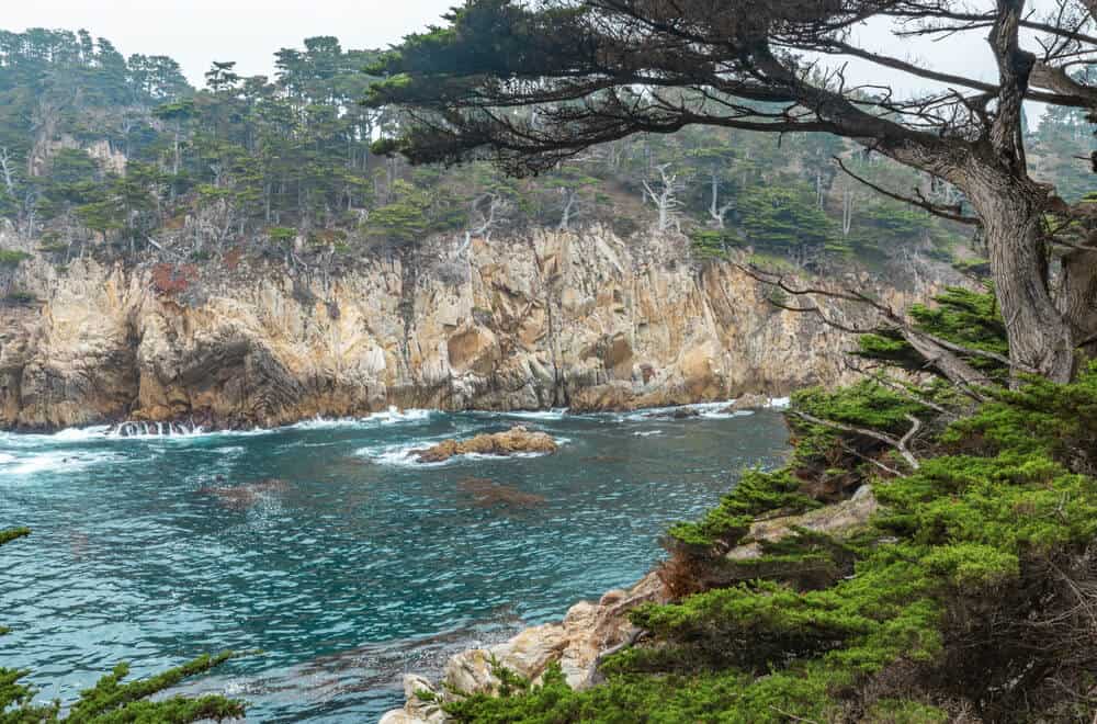 Beautiful landscape, views of cliffs with cypress trees, ocean coast, in Point Lobos State Park on the central coast of California.