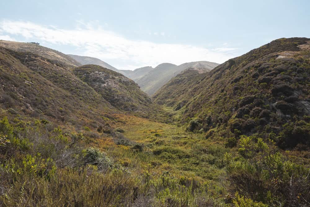 hills and wildflowers in the wilderness of Montana de Toro state park