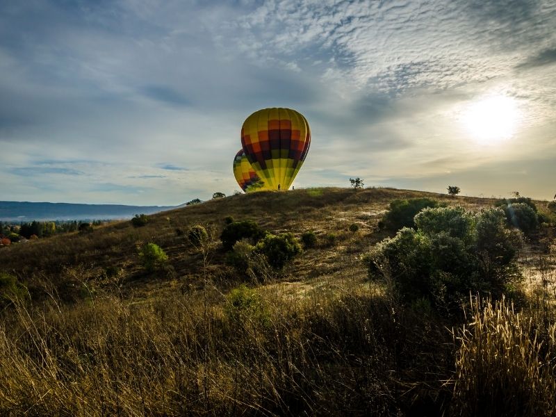 view of inflating hot air balloons shortly after sunrise in napa valley california