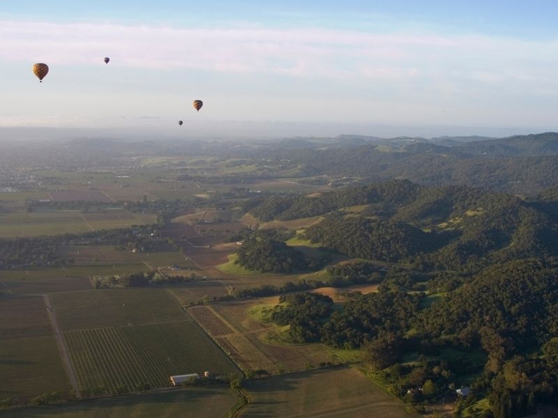 view from a hot air balloon in napa iwth views of four other balloons, vineyards below and rolling green hills.