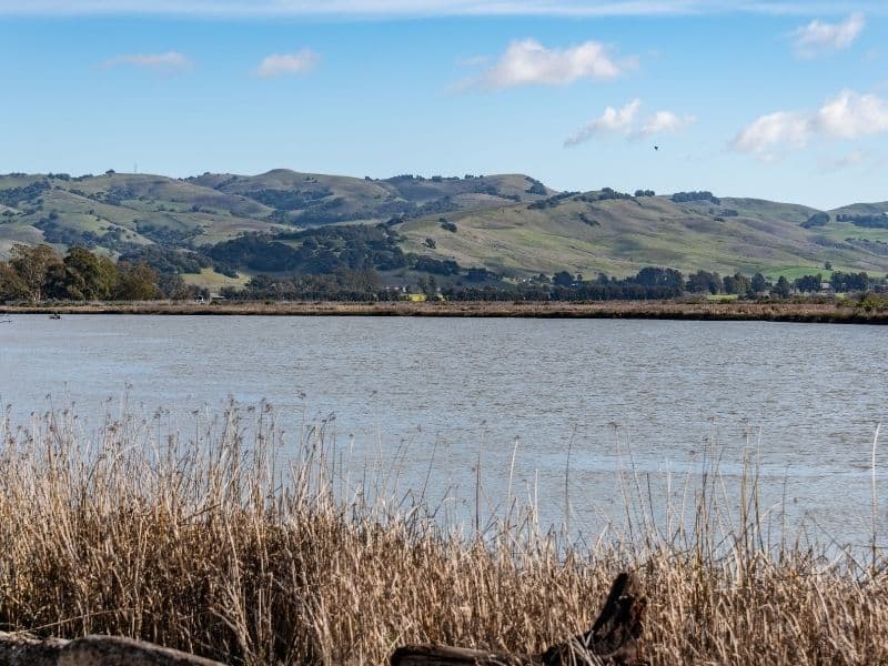 view of the napa river