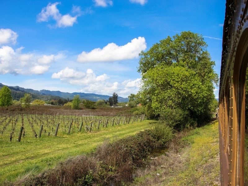 vineyard views as seen from the napa wine train in the wintertime with beautiful verdant green hills