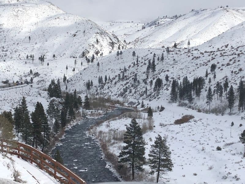 the truckee river covered in snow going through town, view of a fence also in the snow