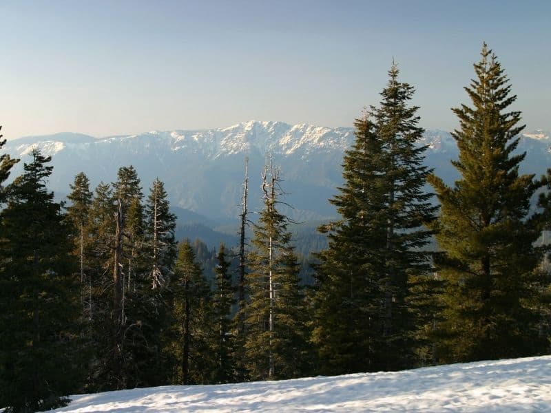 snow on the ground at kings canyon looking out onto trees and distant mountains