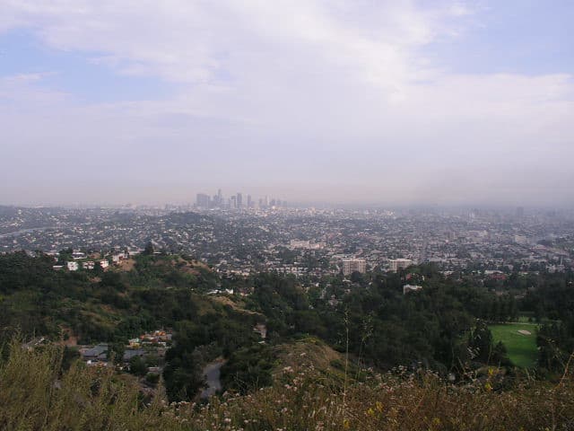 a view of the la skyline far off in the distance from the top of glendale peak in griffith park