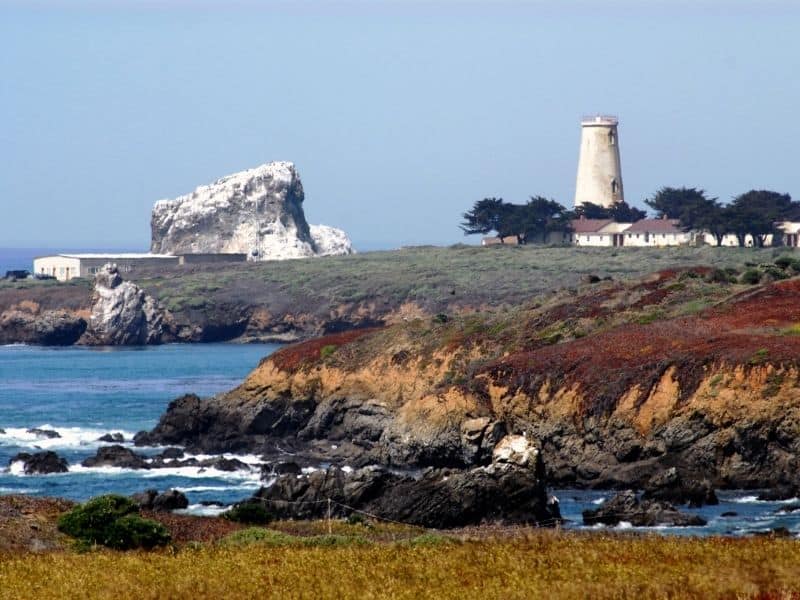 the lighthouse at piedras blancas with a white rock on the shore and red, orange and green cliffs and trees