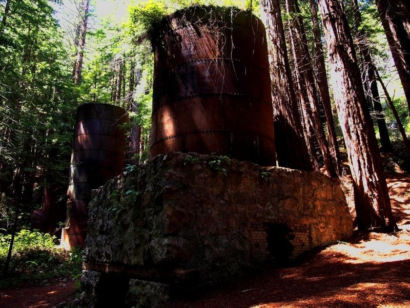 the famous lime kilns in the forest next to redwood trees