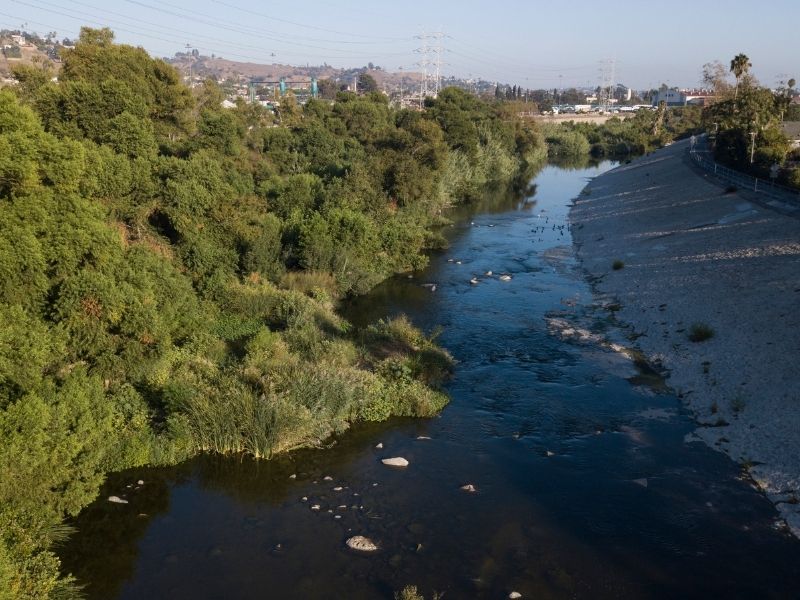 Kayaking on the Los Angeles river an urban river with river flora and cityscape