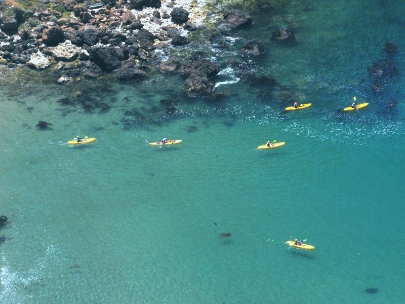 Aerial photo of six kayakers in Southern California's beautiful Channel Islands National Park, out on yellow kayaks against brilliant blue-clear water