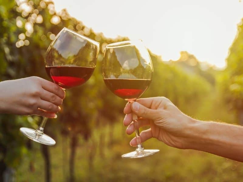 two hands making 'cheers' with wine glasses at a vineyard