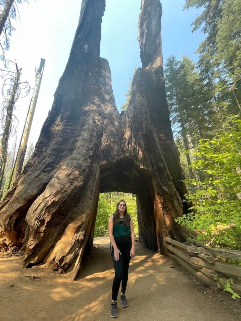 Allison at the Tuolumne Grove tunnel tree in hiking clothes