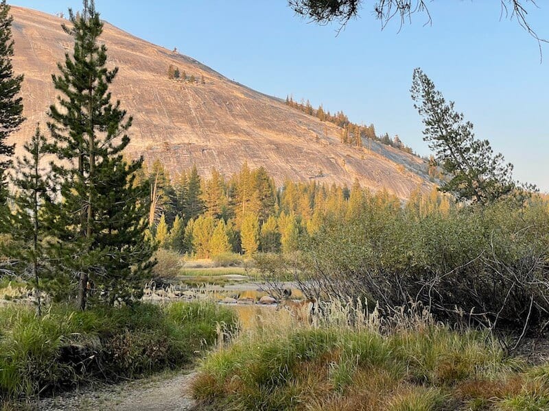 view of lembert done from tuolumne meadows campground