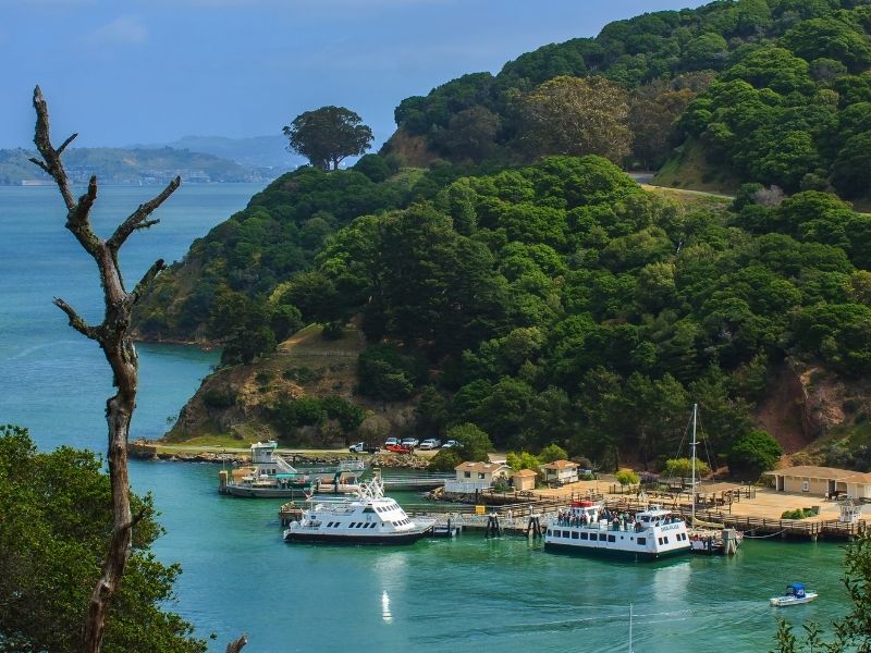 ferries and boats arriving at angel island in the san Francisco bay