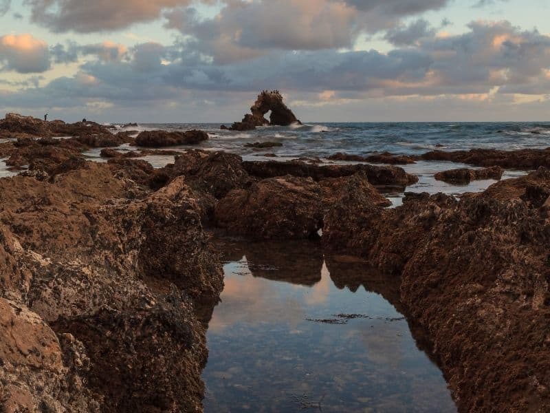 tidepools around sunset at little corona beach in california