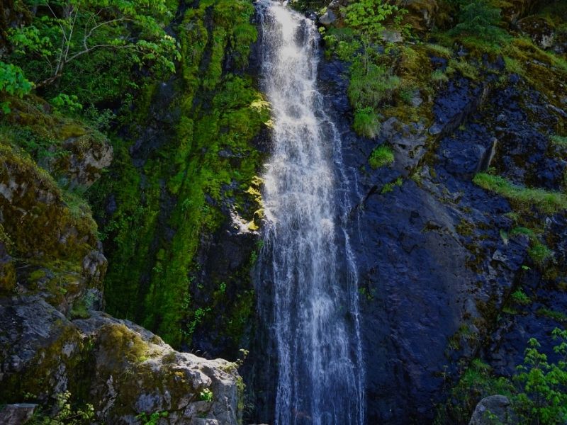 a cascading waterfall over mossy rock in a forest