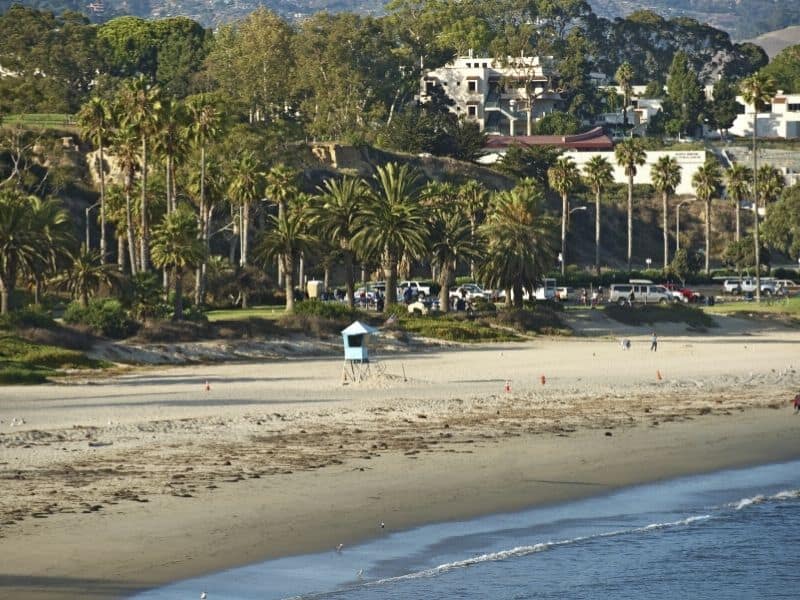 the beach on the coastline of santa barbara with palm trees, sandy beach, and houses in the distance