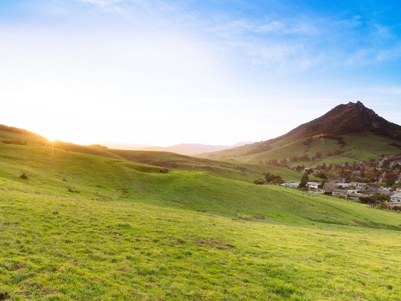 green grass in san luis obispo with the view of bishop peak behind it and the town in the valley below the mountain